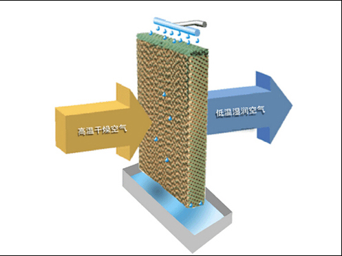 15497203234774.jpg 14309892941185.jpg